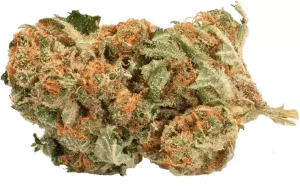 Remexian 14/1 – White Widow – Produktbild des Anbieters Dr. Ansay