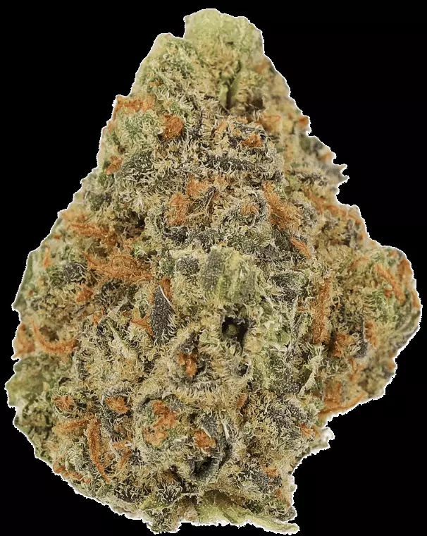 Cannamedical Indica classic SF – Royal Berry – Produktbild des Anbieters Dr. Ansay