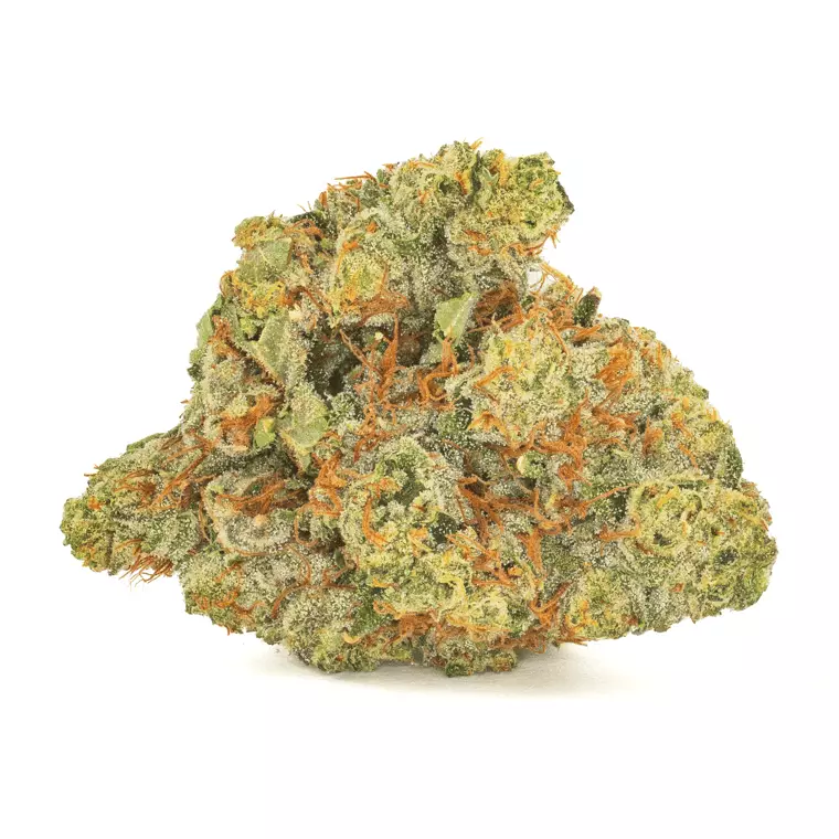 San Raf 29/1 PNK – Pink OG Kush – Produktbild des Anbieters Dr. Ansay