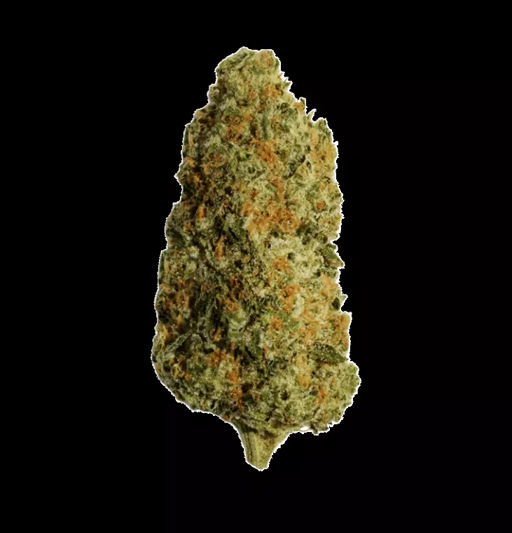 slouu 27/1 PS3 CA SBS – Sugar Berry Sorbet – Produktbild des Anbieters Dr. Ansay