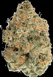 avaay 26/1 SCP – Sour Cherry Punch – Produktbild des Anbieters Dr. Ansay