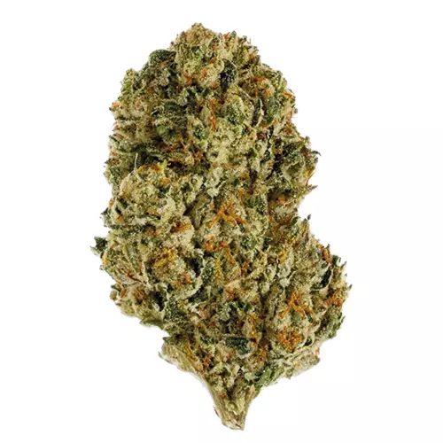 enua 30/1 SF4 CA BBK – Bubba Kush – Produktbild des Anbieters Dr. Ansay