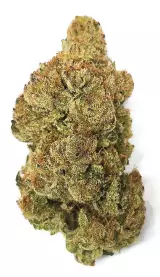 Drapalin 27/1 Full Gas – Mandarin Sunset x Ethos Cookies – Produktbild des Anbieters Dr. Ansay