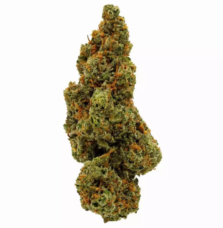 Sinceritas Sativa Verum 24/1 Kush Mintz – Kush Mintz – Produktbild des Anbieters Dr. Ansay