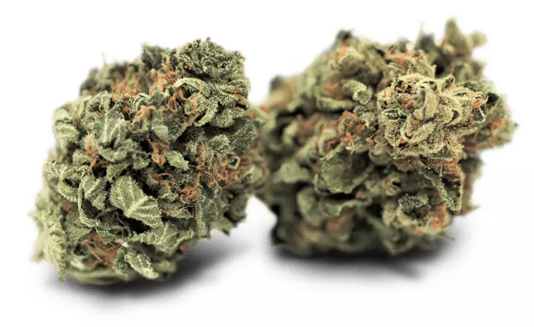 Tilray THC 15 Spotlight Porto – Sirius – Produktbild des Anbieters Dr. Ansay