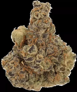 Cannamedical CM 29/1 SPC – Space Cake – Produktbild des Anbieters Dr. Ansay