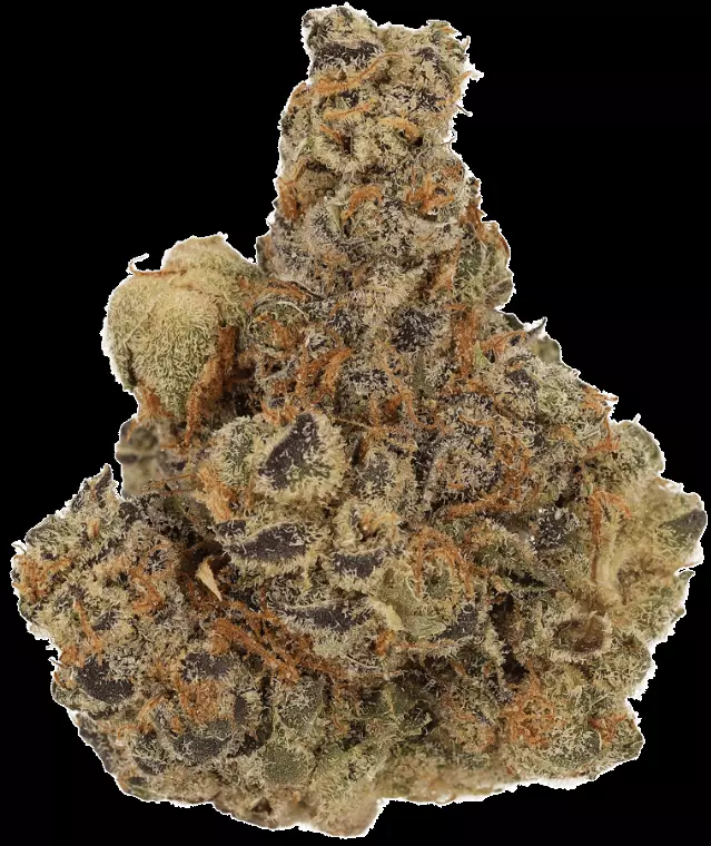 Cannamedical CM 29/1 SPC – Space Cake – Produktbild des Anbieters Dr. Ansay