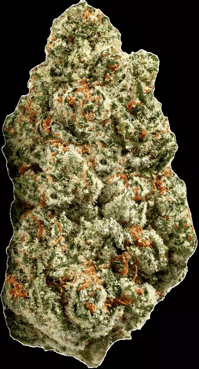 ZOIKS 31/1 SR – Space Rider – Produktbild des Anbieters Dr. Ansay