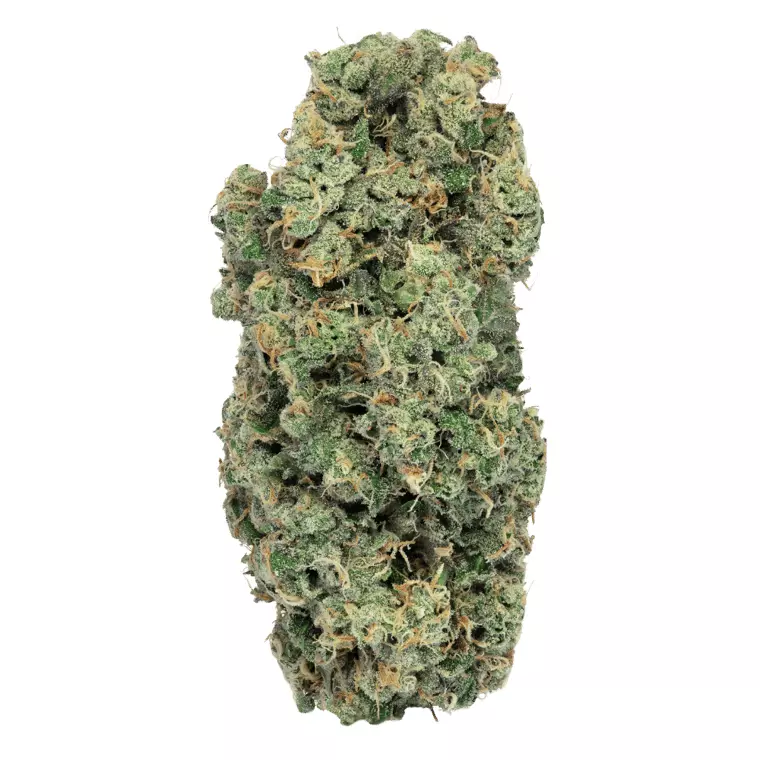 enua 30/1 GPR CA – Grape Pie Runtz – Produktbild des Anbieters Dr. Ansay