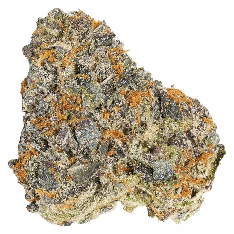 slouu 25/1 AGM CA SBH – Strawberry Haze – Produktbild des Anbieters Dr. Ansay