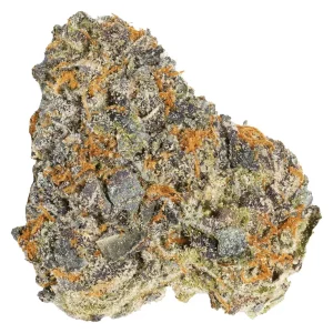 slouu 22/1 AGM CA SBH – Strawberry Haze – Produktbild des Anbieters Dr. Ansay