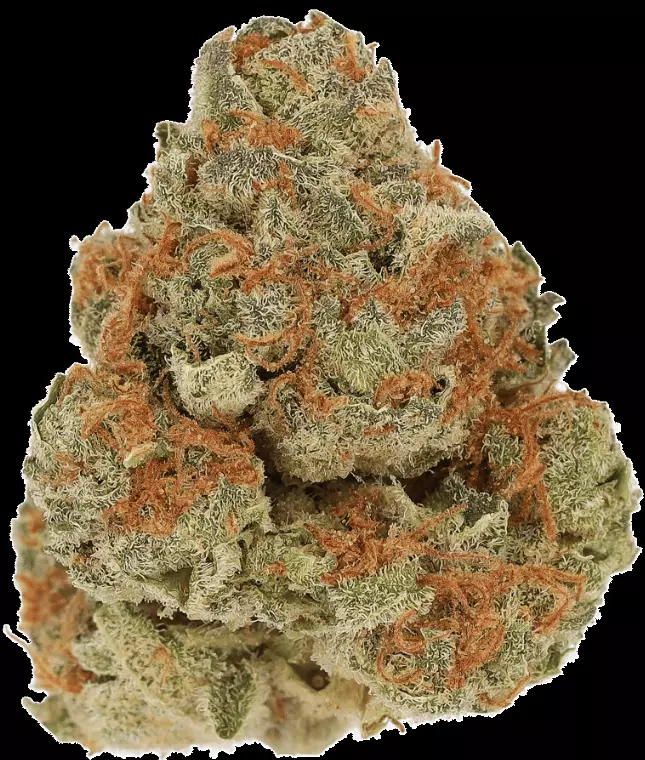 Cannamedical Indica Light ZAF – Strawberry Lemonade – Produktbild des Anbieters Dr. Ansay