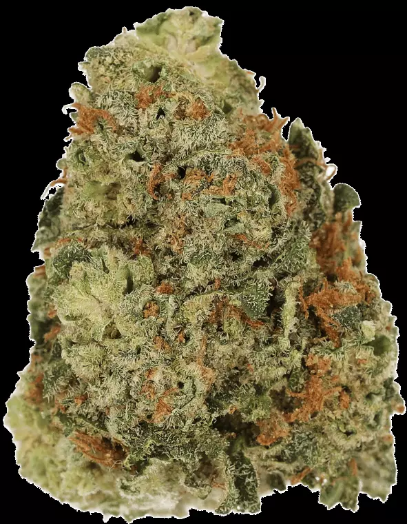 Cannamedical CM 24/1 BRY – Strawberry OG – Produktbild des Anbieters Dr. Ansay