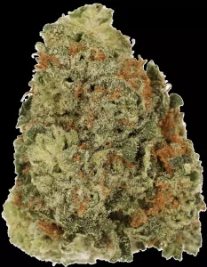 Cannamedical CM 28/1 BRY – Strawberry OG – Produktbild des Anbieters Dr. Ansay