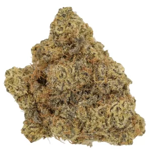 CM 25/1 SKC – Sun County Kush – Produktbild des Anbieters Dr. Ansay