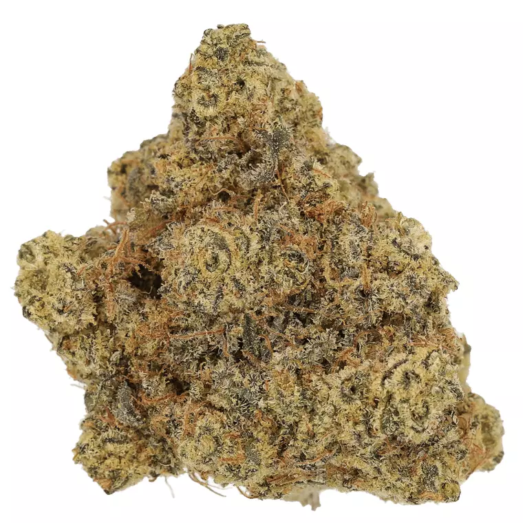 CM 25/1 SKC – Sun County Kush – Produktbild des Anbieters Dr. Ansay
