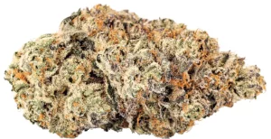 Barongo 26/1 LAX – Sunset Strudel – Produktbild des Anbieters Dr. Ansay