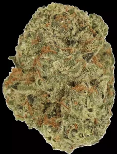 Cannamedical Indica Forte SM – Sunset Serenity – Produktbild des Anbieters Dr. Ansay