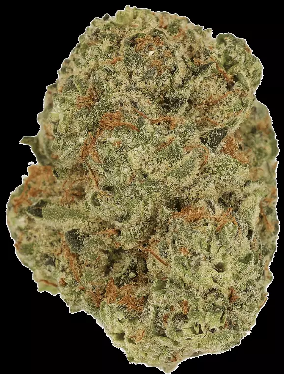 Cannamedical Indica Forte SM – Sunset Serenity – Produktbild des Anbieters Dr. Ansay
