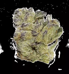 AphriaRX Cannabisblüten THC25 – SNS – Sunset Sherbet – Produktbild des Anbieters Dr. Ansay
