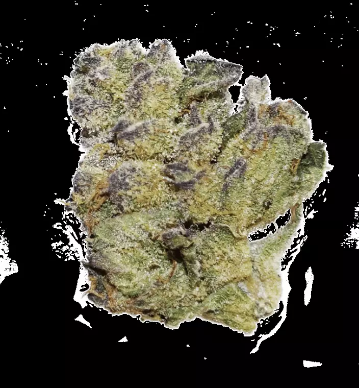 AphriaRX Cannabisblüten THC25 – SNS – Sunset Sherbet – Produktbild des Anbieters Dr. Ansay