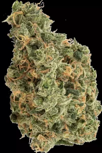 avaay 27/1 SCG – Super Citra G. – Produktbild des Anbieters Dr. Ansay