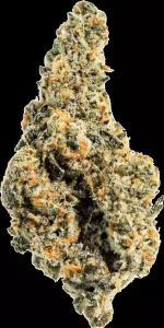 enua 30/1 TPM CA – Tropical Meltdown – Produktbild des Anbieters Dr. Ansay