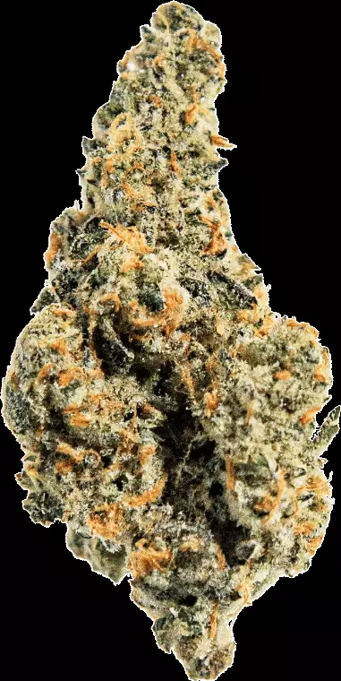 enua 30/1 TPM CA – Tropical Meltdown – Produktbild des Anbieters Dr. Ansay