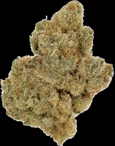 Cannamedical Indica Forte BC – Tangerine Boost – Produktbild des Anbieters Dr. Ansay