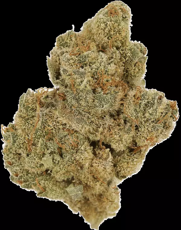 Cannamedical Indica Forte BC – Tangerine Boost – Produktbild des Anbieters Dr. Ansay