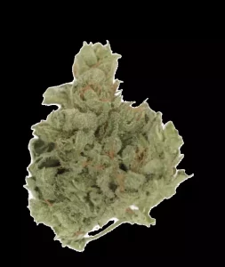 Tilray THC25 Spotlight Porto ISS – Island Sweet Skunk – Produktbild des Anbieters Dr. Ansay