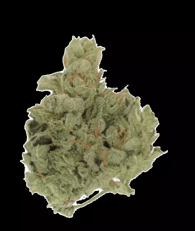 Tilray THC25 Spotlight Porto ISS – Island Sweet Skunk – Produktbild des Anbieters Dr. Ansay