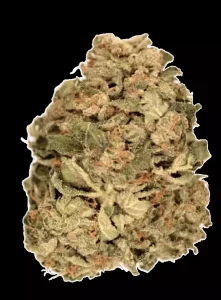 Tilray THC22 Spotlight Porto Pink Kush – Pink Kush – Produktbild des Anbieters Dr. Ansay