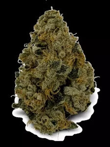Tilray Craft THC30 TRM Triangle Mints – Triangle Mints – Produktbild des Anbieters Dr. Ansay