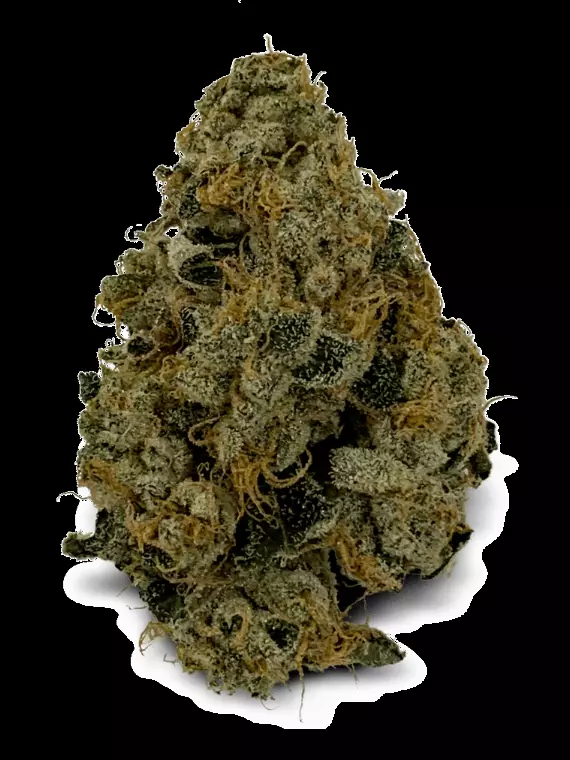 Tilray CRAFT THC28 TRM – Triangle Mints – Produktbild des Anbieters Dr. Ansay