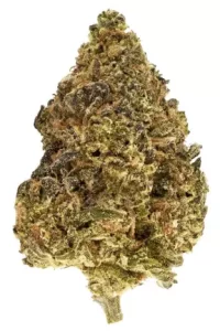 TRUU GT 26:01 – Skull Cap – Produktbild des Anbieters Dr. Ansay