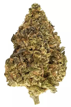 TRUU GT 26:01 – Skull Cap – Produktbild des Anbieters Dr. Ansay