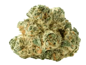 Peace Naturals 29/1 SC – Space Cake – Produktbild des Anbieters Dr. Ansay