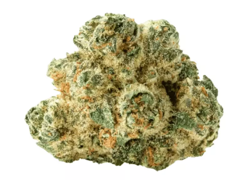 Peace Naturals 29/1 SC – Space Cake – Produktbild des Anbieters Dr. Ansay