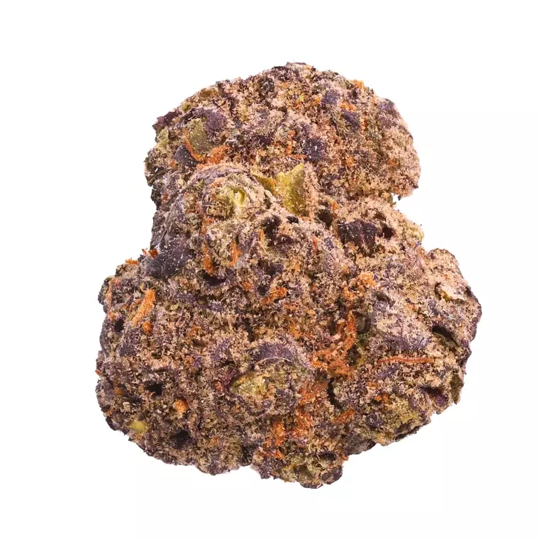 Vasco x Cipher BB – Blueberry Banana – Produktbild des Anbieters Dr. Ansay