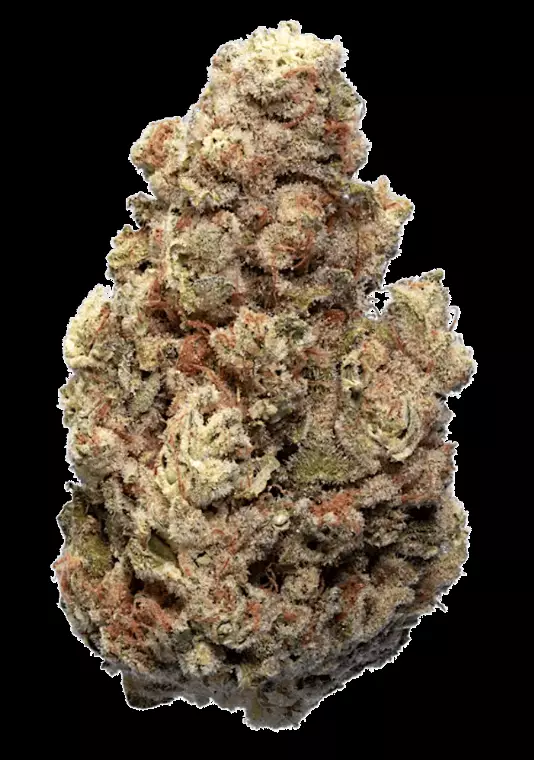 enua 27/1 CCK CA – Cold Creek Kush – Produktbild des Anbieters Dr. Ansay