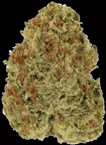LUANA 20/1 OG – Watermelon OG – Produktbild des Anbieters Dr. Ansay