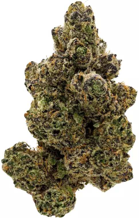 Cannamedical Sativa Classic NM – Wedding Tree – Produktbild des Anbieters Dr. Ansay