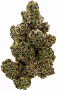 Cannamedical Sativa Forte NM – Wedding Tree – Produktbild des Anbieters Dr. Ansay