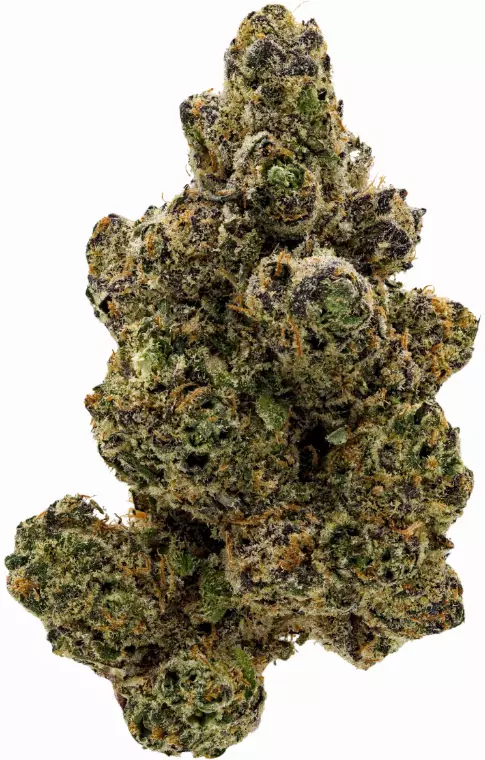 Cannamedical Sativa Forte NM – Wedding Tree – Produktbild des Anbieters Dr. Ansay