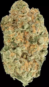 avaay 30/1 MIM – Midnight Mimosa – Produktbild des Anbieters Dr. Ansay