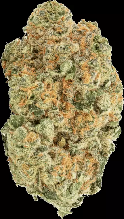 avaay 30/1 MIM – Midnight Mimosa – Produktbild des Anbieters Dr. Ansay