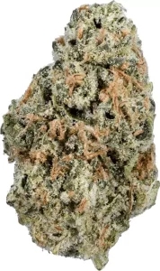 enua 25/1 11R CA – White Widow Cheese – Produktbild des Anbieters Dr. Ansay