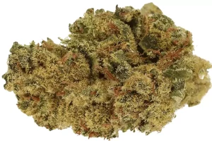 Cannamedical Hybrid Light URY – White Gorilla – Produktbild des Anbieters Dr. Ansay