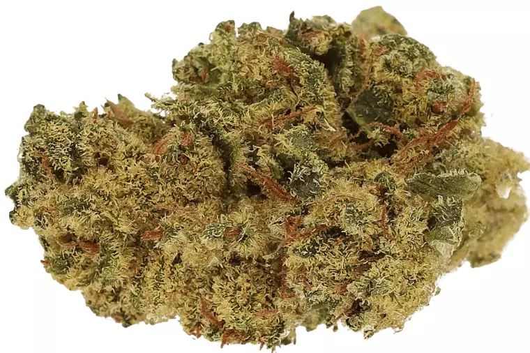 Cannamedical Hybrid Light URY – White Gorilla – Produktbild des Anbieters Dr. Ansay
